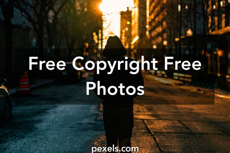 pexels free images|pexels copyright free images.